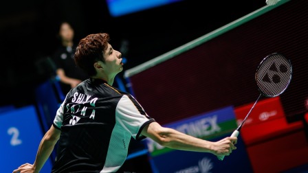 入比例进行 入比例进行